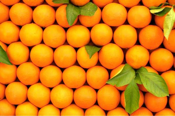 Oranges export in bulk in 2021