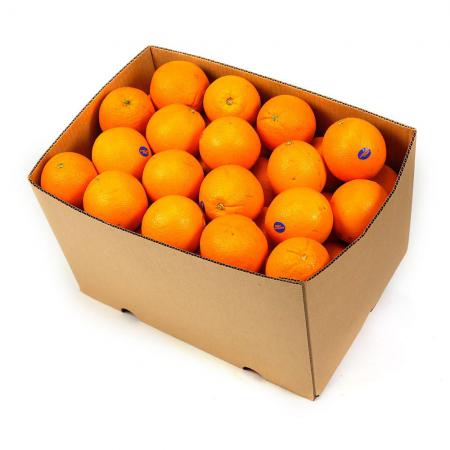 Valencia oranges bulk price in 2021