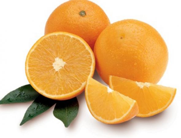 Valencia oranges for sale in bulk